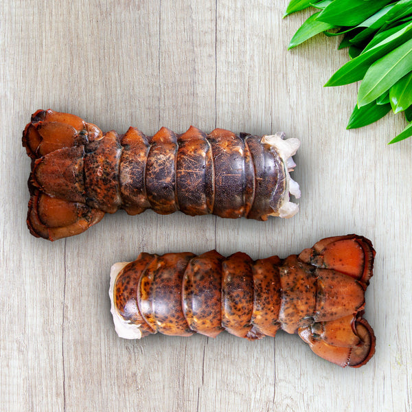 Pair of 8 oz Cold Water Lobster Tails